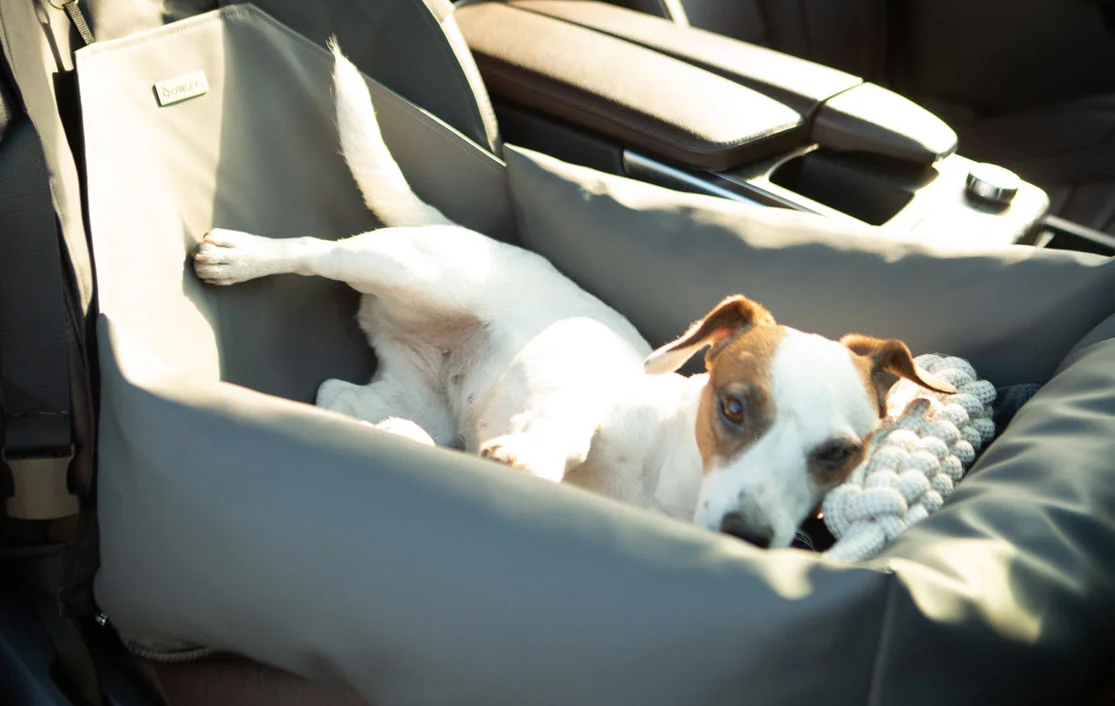 Schipperke Dog Car Seat for Hyundai Kona