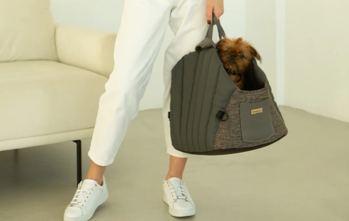 Havanese Dog Carrier Car Seat for Honda Accord