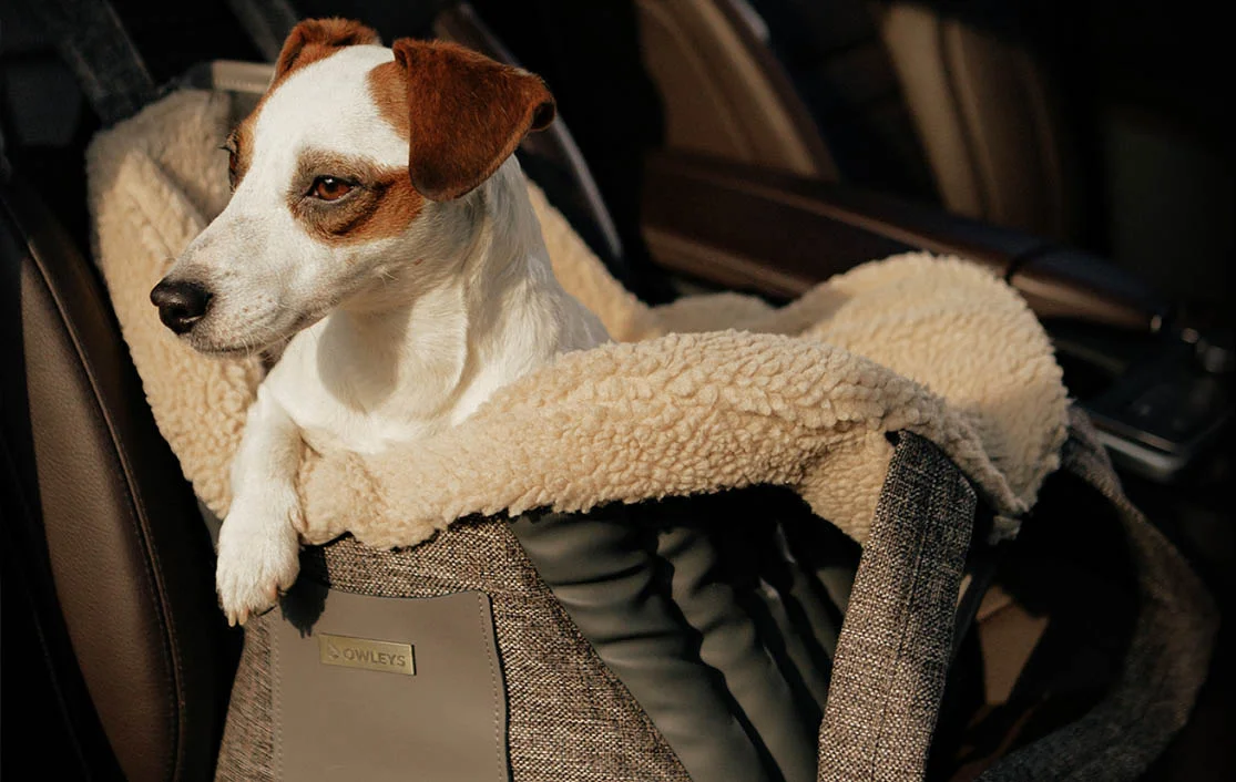 Kromfohrlander Dog Carrier Car Seat for Honda Accord