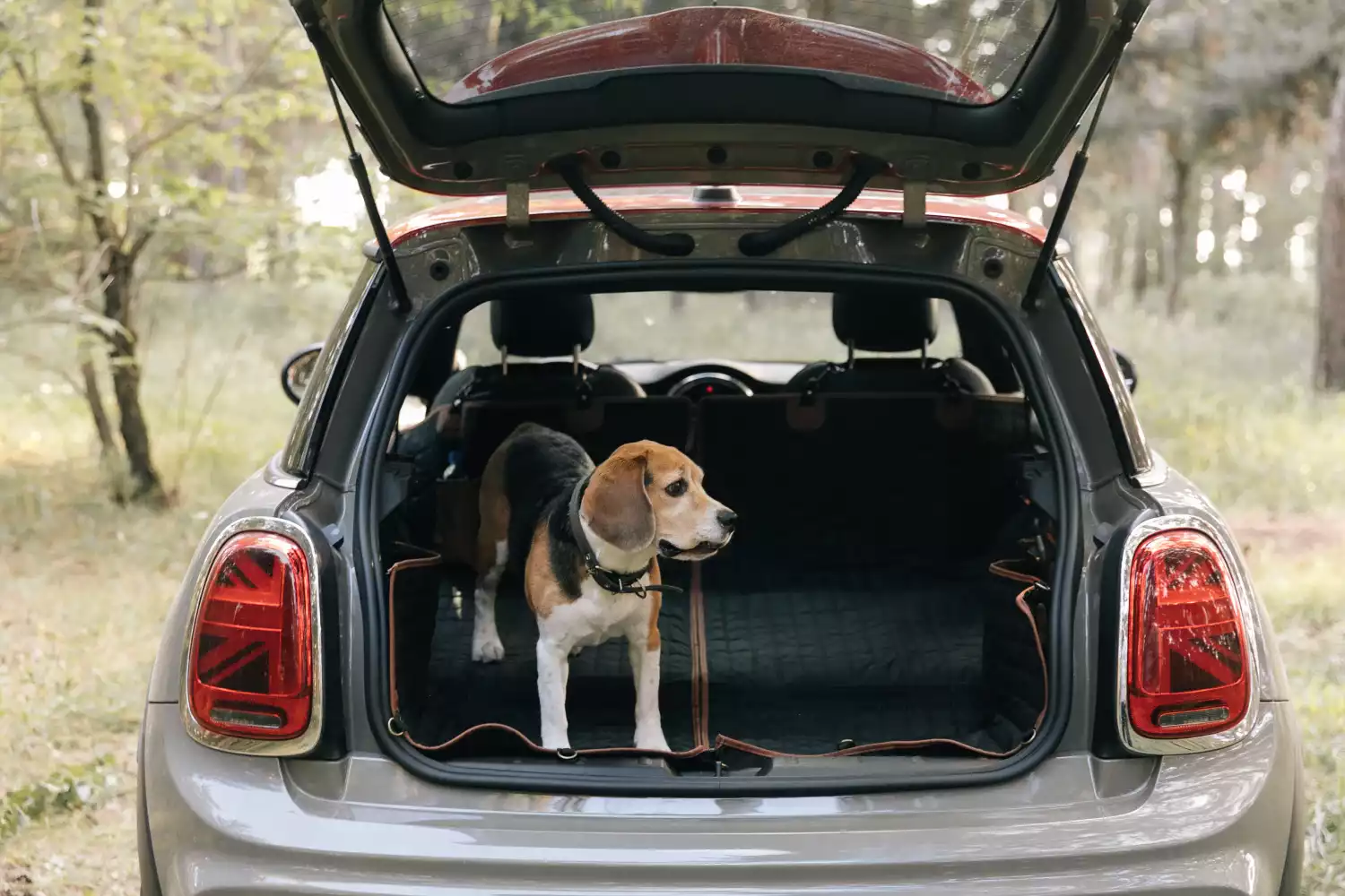 dog back seat cover for Mercedes-Benz GLE