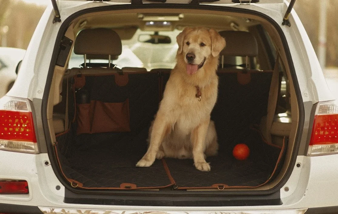 Bullmastiffs back seat cover for Hyundai Palisade