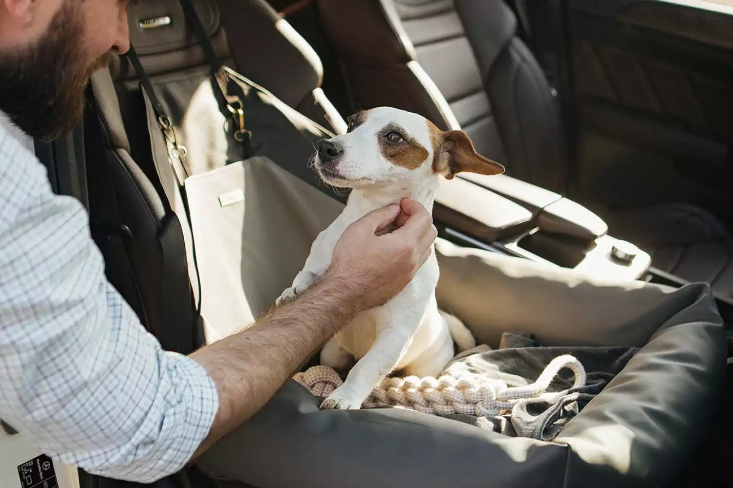 Basset Hounds Dog Car Seat for Audi A4