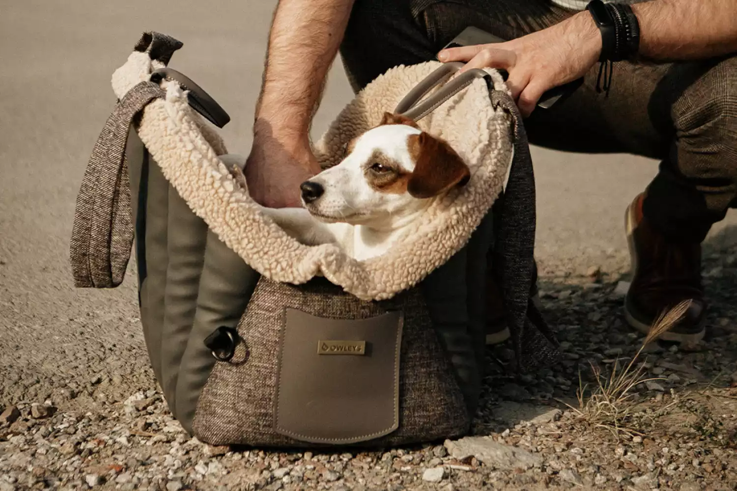 Mi-Ki Dog Carrier Car Seat for Mazda6