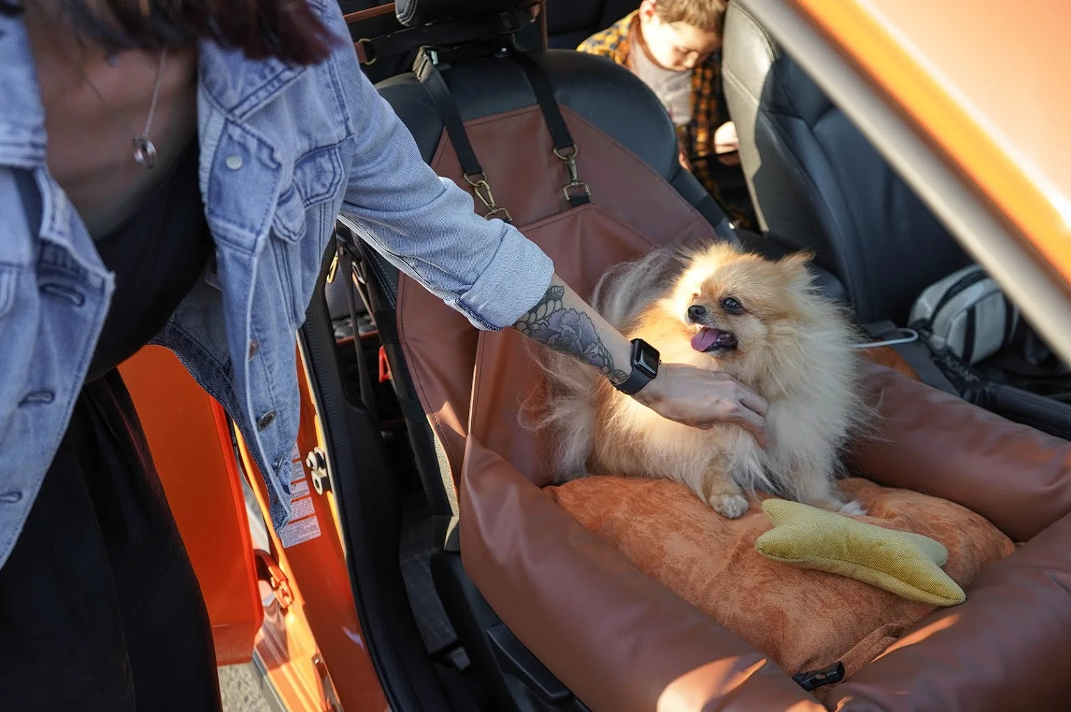 Xoloitzcuintli Dog Car Seat for Hyundai Kona